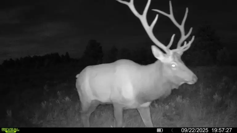 11_c128c197-4ee6-4480-b56b-e9b519dfeb45