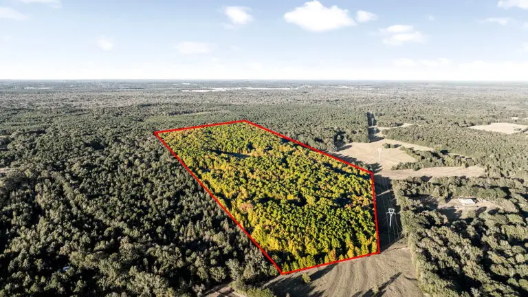 12_000669d5-b3b9-4066-ac24-4a6ed31c6d15