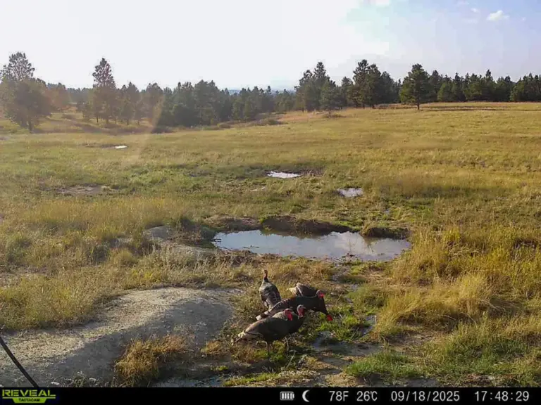 12_095f6666-288c-466b-a343-9d7e6d7a5e52