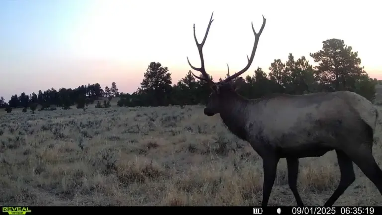 12_ac1252b4-e3a2-491a-9df5-910882829587