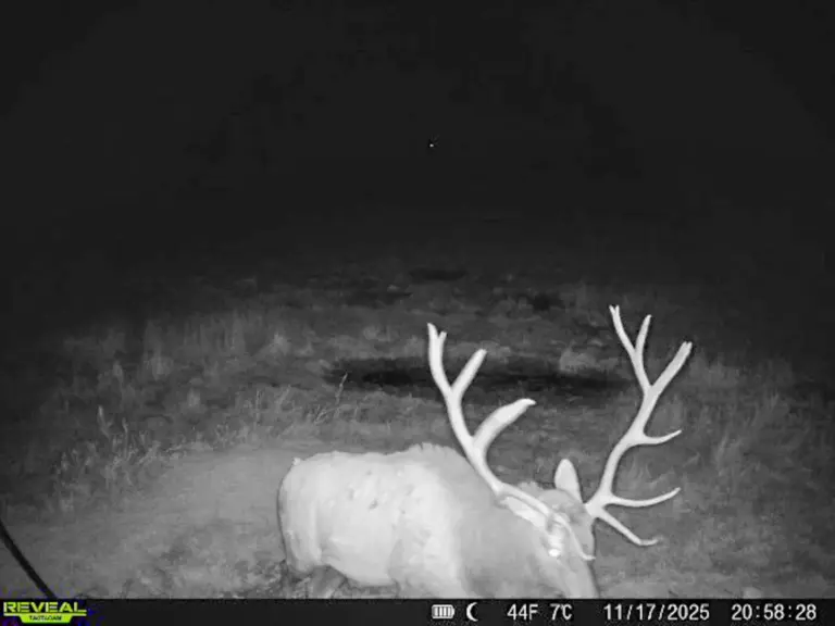 13_4f9a11c0-8c61-4cc8-a147-9bc6ad24bb23