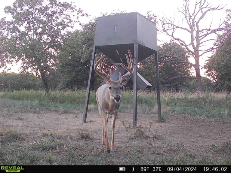 13_9955a154-6486-4219-8308-50b559a68c42