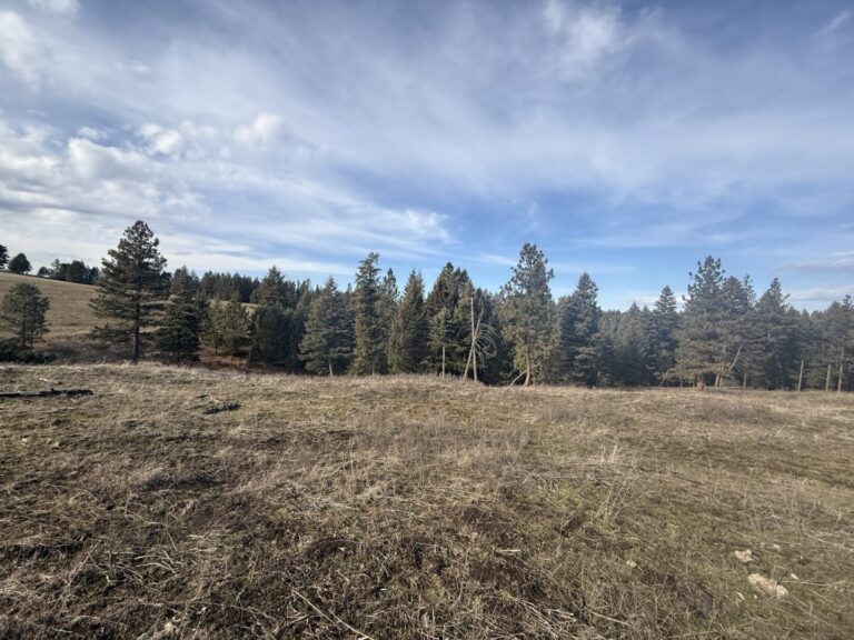 13_bf5ea1d9-c3eb-44d8-a565-4eeeeaea674f