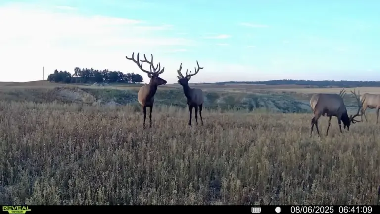 13_c5123b29-05a0-46ac-9d0f-5a6eb61e5def