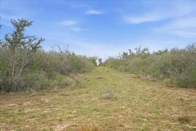 13_ef59944e-a475-4942-9c44-067eb9ed276c