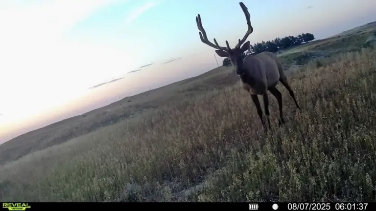 14_2a59171b-7819-453c-a865-ec0ee99c6176