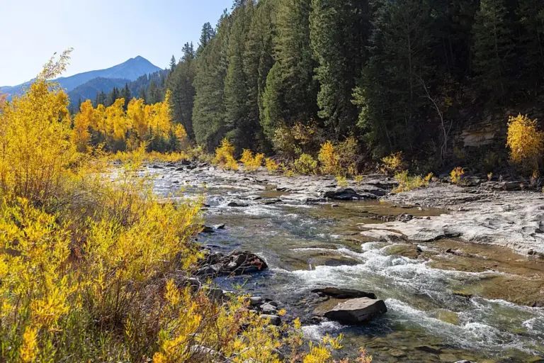 Colorado live water properties