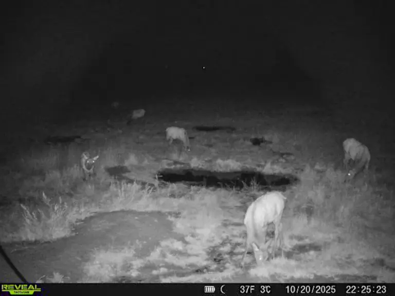 14_8e0b8b67-7327-40ab-b28d-4e366a81d1b9