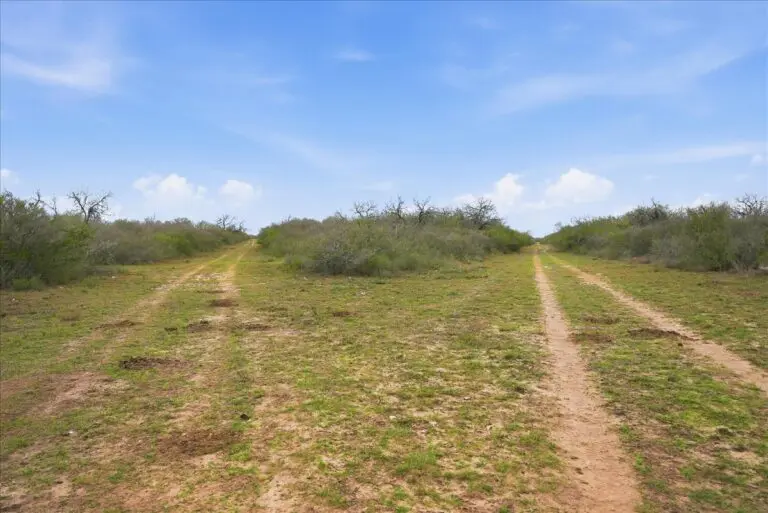 14_b04c9472-1184-47ea-a20a-39d953281631