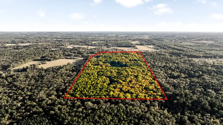 14_b40af5d7-6698-4326-bdab-afe61ba47922