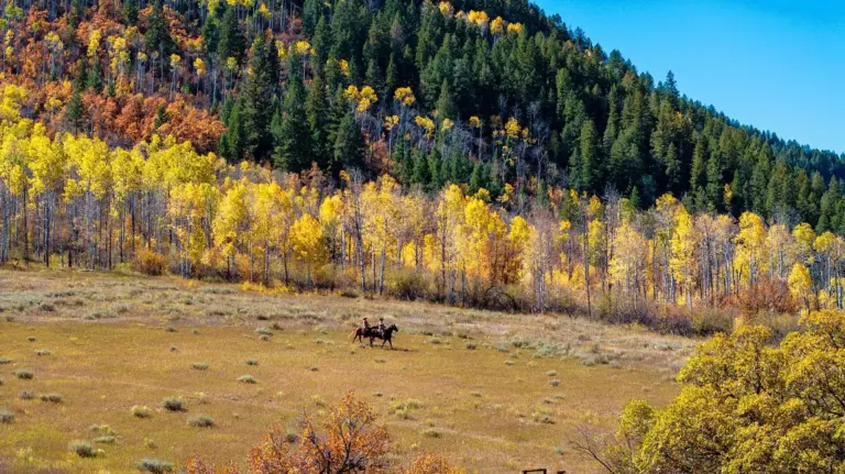 Colorado ranch for sale