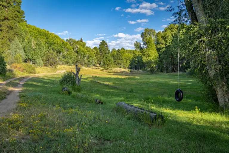 14_e97a9be7-1028-4cd1-be2e-c8249c1f904c