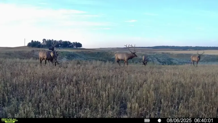 15_0b1677cf-96b8-4f49-a315-4a15a8d28937