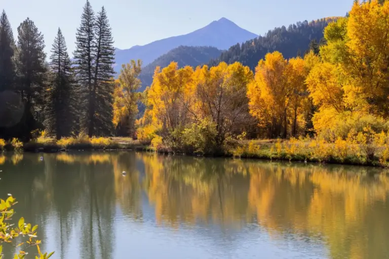 Colorado livewater property for sale