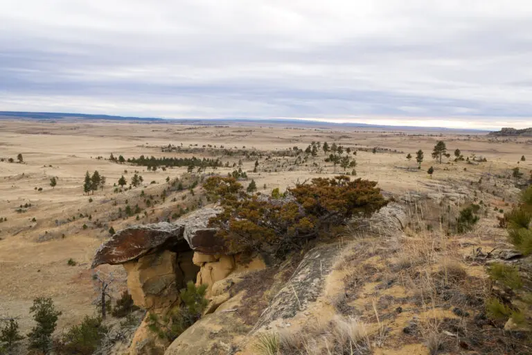 15_d644b7f8-7680-4ce3-a3b3-e8cf6f6abc81