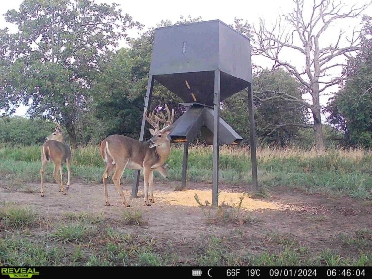 15_d69fa52d-2cd8-415f-874c-06da6431a473