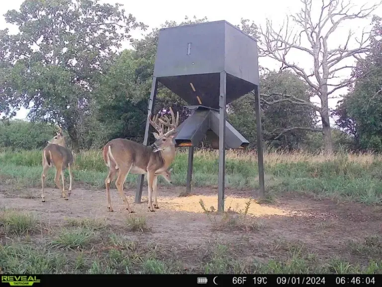 15_d69fa52d-2cd8-415f-874c-06da6431a473