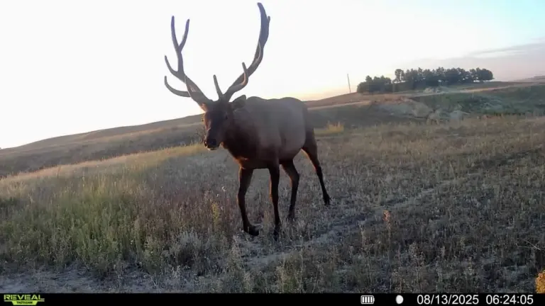 16_18391508-8e8d-49fa-821f-63bafe5f3006