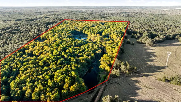 17_7bd74fb5-00b4-48f2-91ab-315542f7a0f7