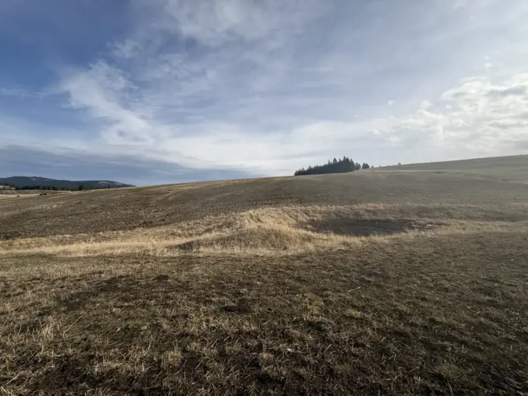 17_9070e6f9-7fa3-4aeb-a15a-ebc29e885a39