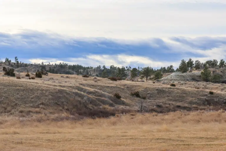 17_df172ee7-d4ed-40d3-ab28-cabb6758cfd5