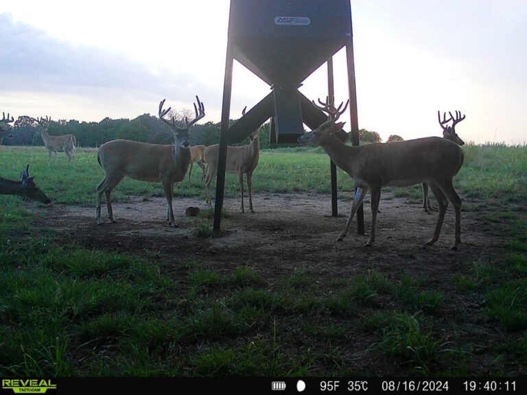 17_f85f9876-4569-4da3-8a8f-3617b7e0fb60