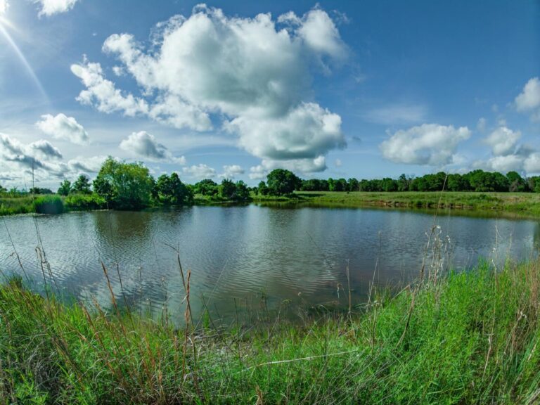 1_1.810480_10296.659_10296.659_3993.293_2978.810_-0.286_0.665_89.968_0.000000_0.000000_0.000000_0.59763819_-4.10456848_9.37404442_0.00000000_0.00000000_8064_6048_89_197632 0.000977_-0.001953_-0.015625_0.024501_0.005326_-0.001065 (1_1.810480_10296.659_