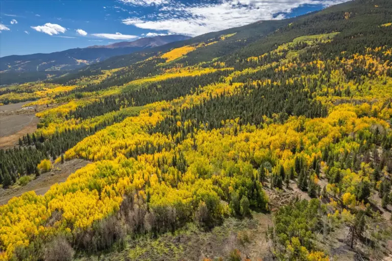 18_687535ef-b07e-4bbd-86c4-fc3080e17f81