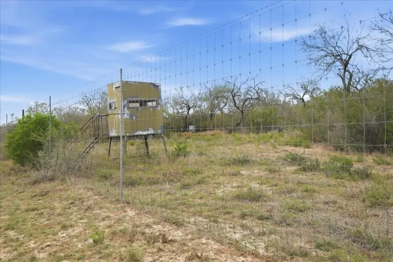 18_9d7c46bb-a3a2-4911-b62b-c6fa4b738c99