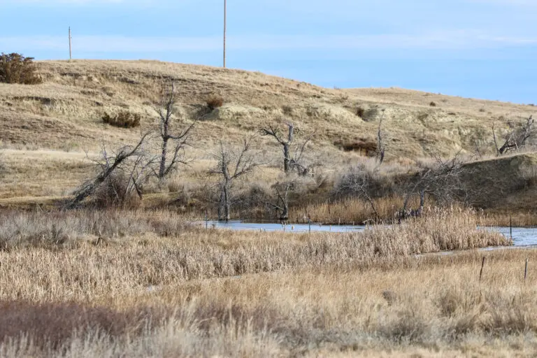 18_9f0cb8e6-c5a2-41a9-8e69-f0c7af098618