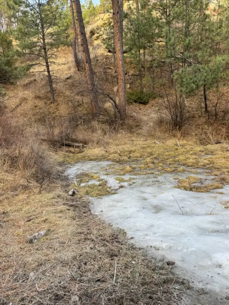 19_0edeef31-7e2c-4eaa-93bb-d737efe4cc44