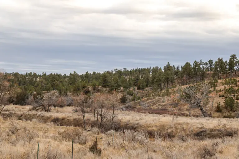 19_54e0b67d-ab64-4415-98da-745f65d3b026