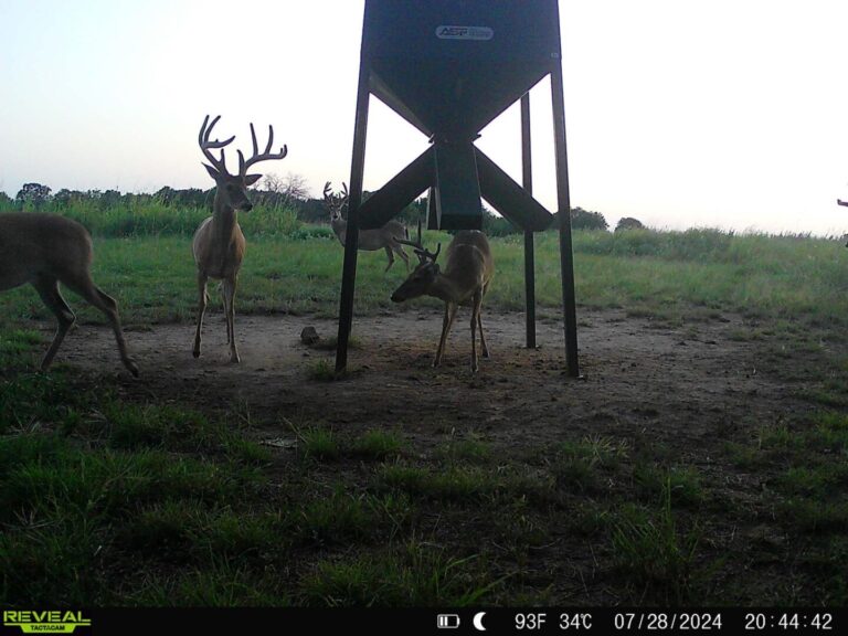 19_726c1681-e066-449d-87f9-18ca3d008d4a