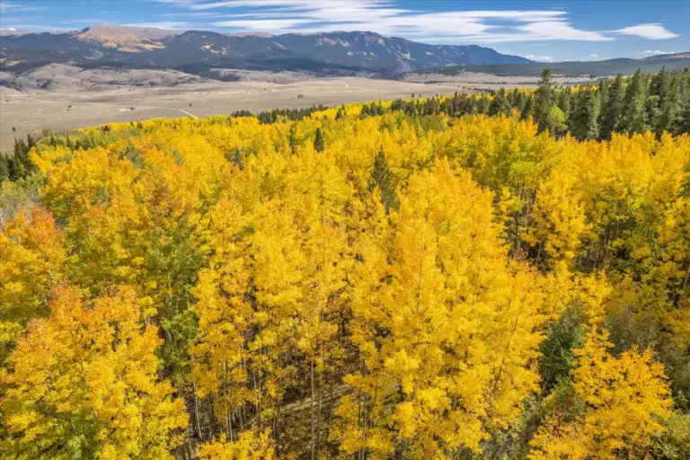 20_85821de1-1b57-4db5-b11e-ae5b90dde00b