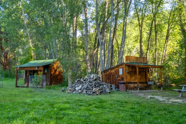 20_b691da68-fe12-4c30-be35-6c8a6c56da8f