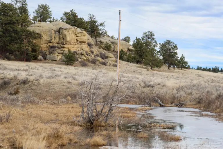 20_d4cbaa66-1188-4fcf-8913-9e7e22907a1a