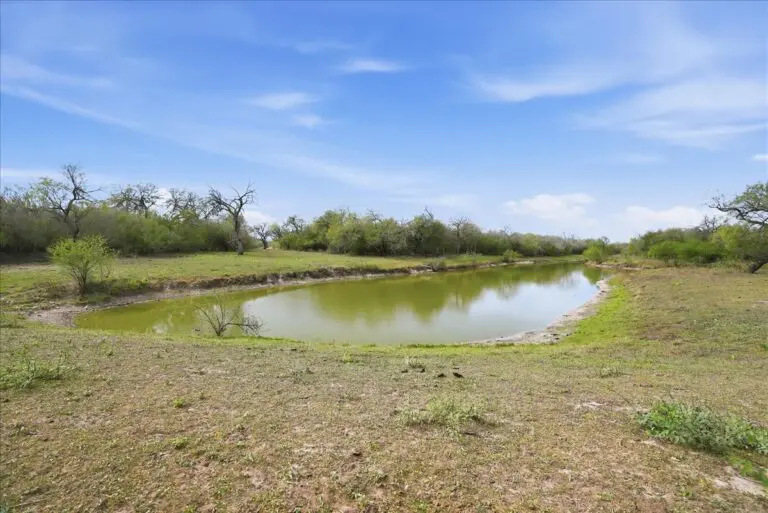 20_dc8d2698-7986-4518-a4c5-f9eddaacdb41