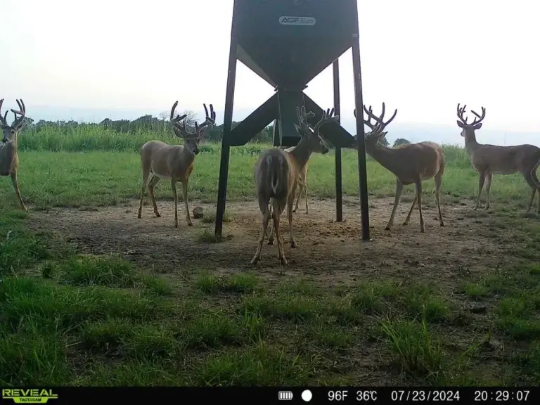 20_f18a56b6-ee1f-404b-bcb4-cdbab3052c93