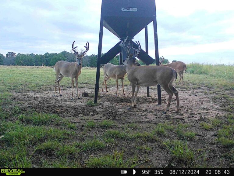 21_005e6ba9-a4a5-4da2-8754-218278439907