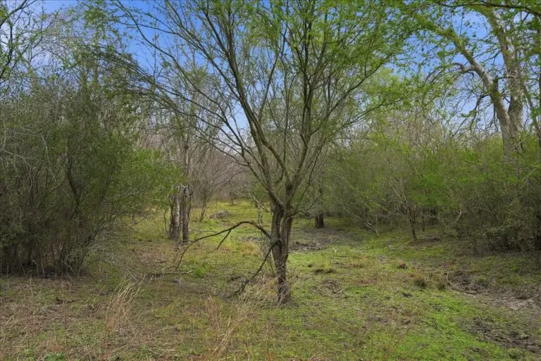 21_0be1a2e2-b086-4734-9efe-3ec0993074d7