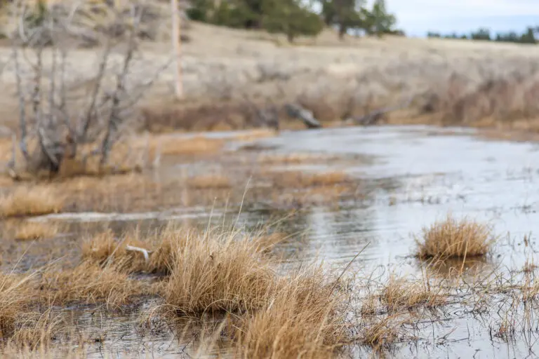 22_08d03c15-eb9b-47a5-9bdd-193e2ce8d7ba