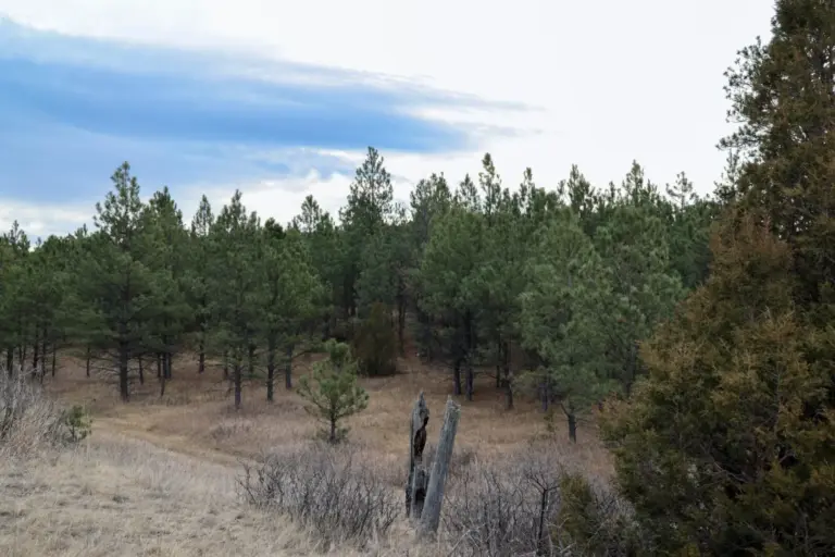 22_1c7635e8-3400-41dc-ae6f-a50f3600fc33