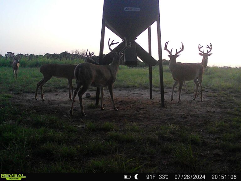 22_3a96d077-b4dc-4ea3-9e7c-0c94c208abf6