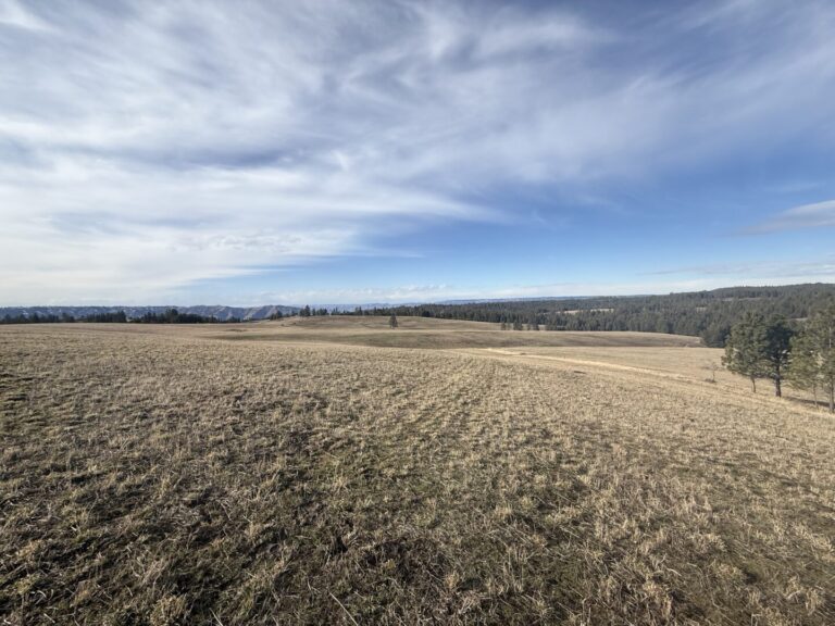 23_801db4e5-1d9a-47c1-9e22-2ef96161b9d0