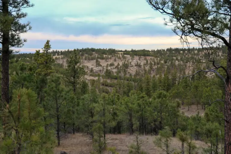 25_41f166ed-5369-4976-9211-4d8451f78dd2