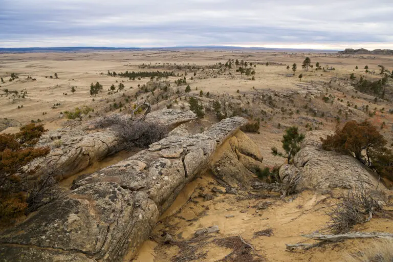 25_a53b7732-65e3-438f-9eb9-70ac31823cdc