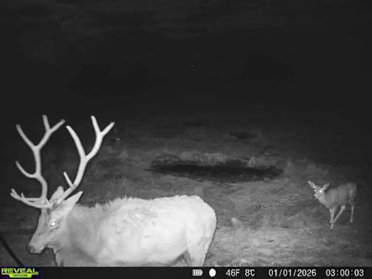 27_0d80a620-b4fb-443a-8dec-4479c15f4b25