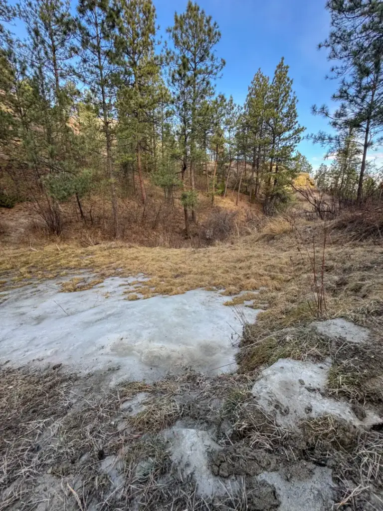 28_0a6b84a1-c196-414f-bf52-fe05fb92736b