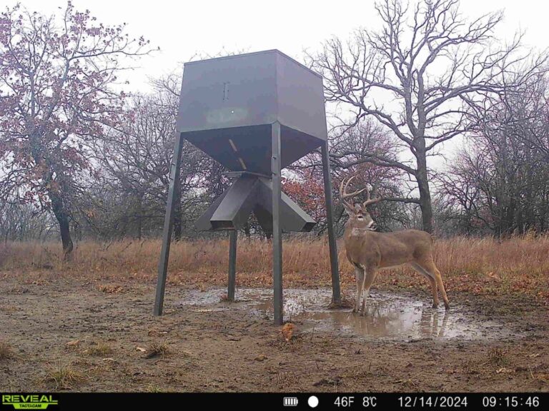 28_8f64a8bc-3289-4616-8b5b-8135a2b50a37