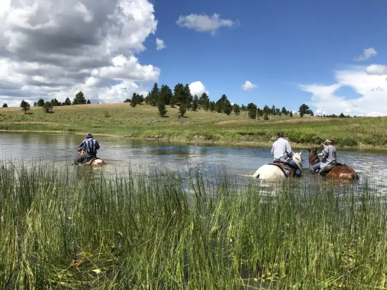 28_92a739cf-e700-42fe-b6fd-e460469cc845